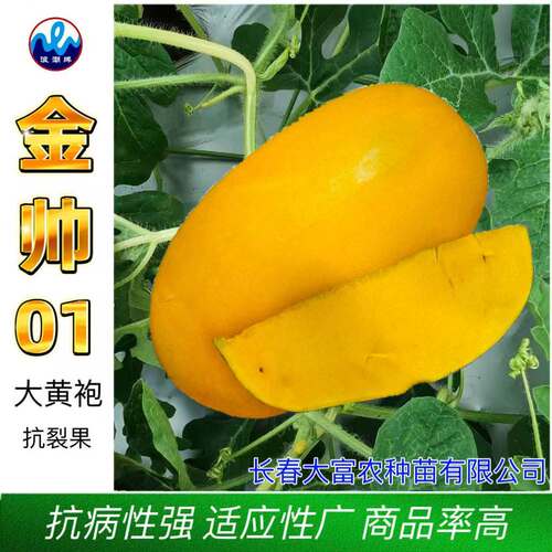 浪潮金帅01黄皮黄瓤黄肉西瓜种子礼品瓜四季水果种子早生抗病耐裂
