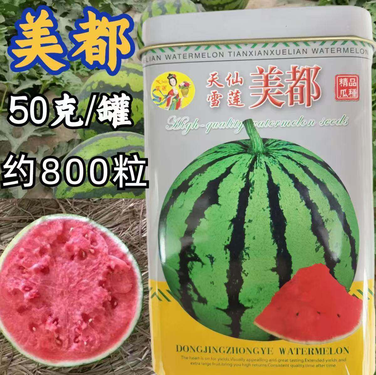 天仙雪莲美都西瓜种子圆形中早熟红瓤西瓜种籽高产耐贮运基地专用