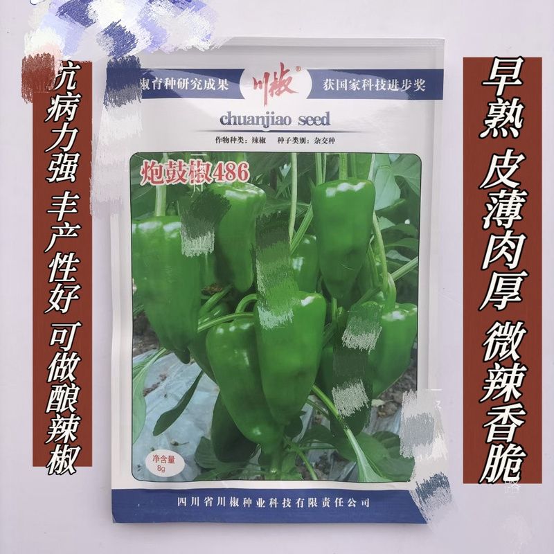 炮鼓椒486早熟泡椒辣椒种子皮薄肉厚微辣香脆口感好果长抗病强