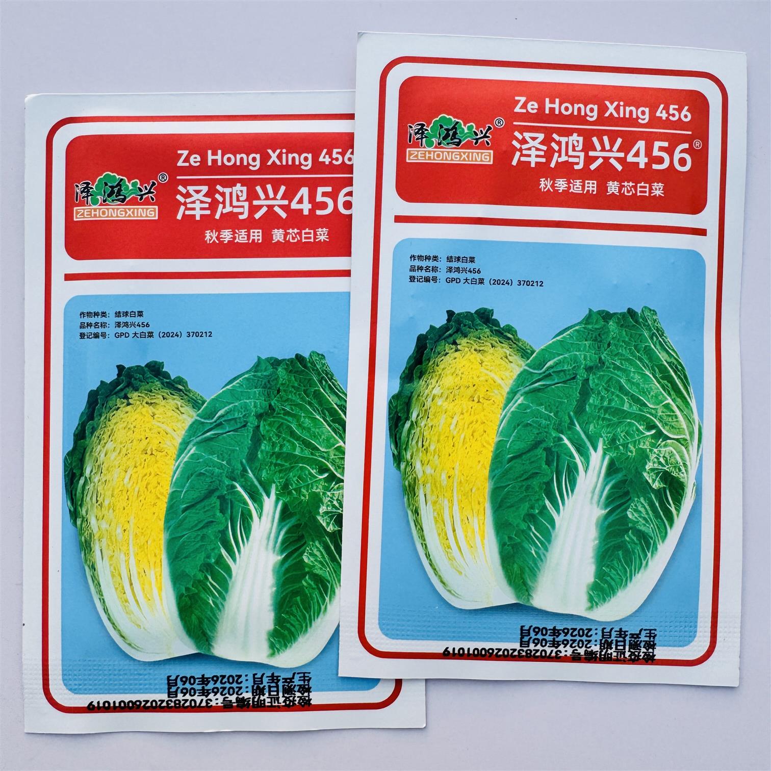 泽鸿兴456黄芯白菜种子杂交中熟白帮黄心直筒形大白菜种籽秋季播