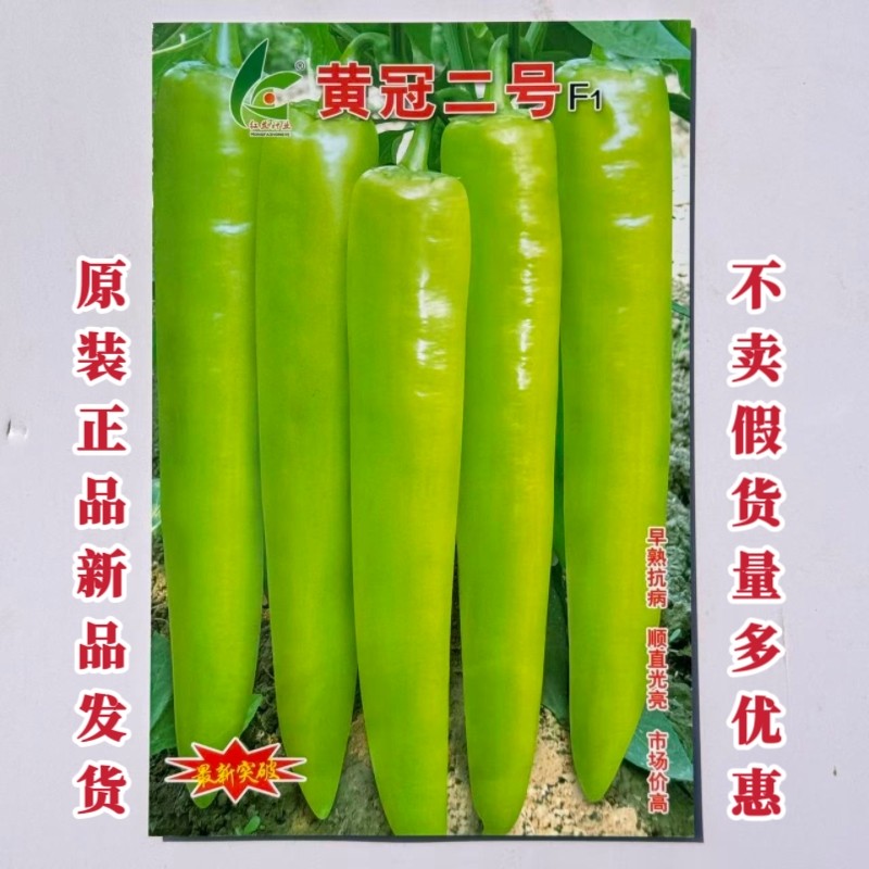 黄冠二号早熟黄皮尖椒种子大果纯黄皮特长牛角椒种子高产抗病辣椒