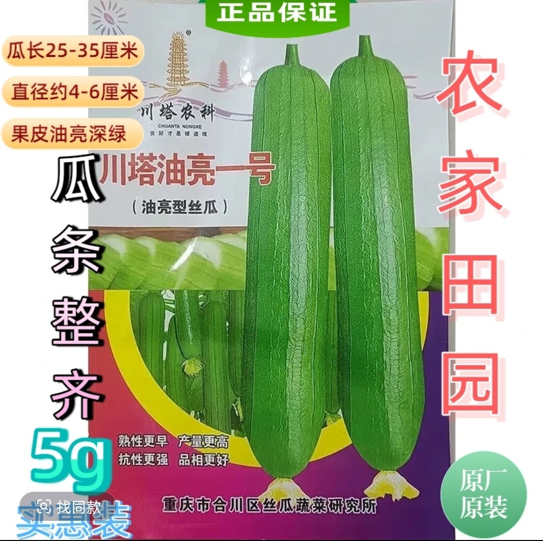 川塔油亮一号丝瓜种子 早熟油亮型丝瓜皮薄肉质细嫩产量高好吃