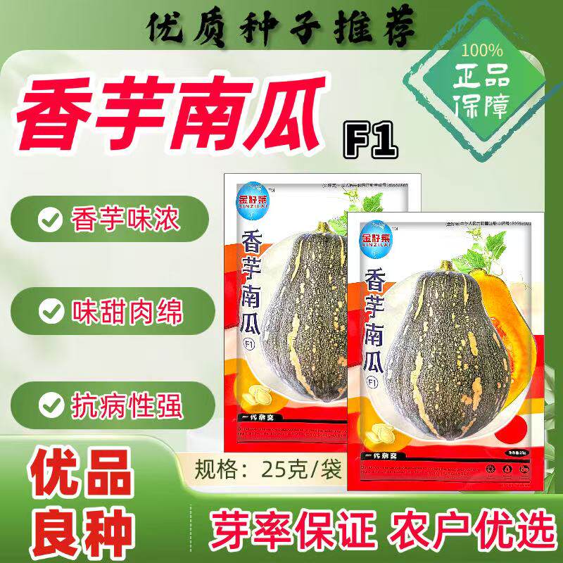 香芋南瓜种子特色小蜜本南瓜蔬菜种籽粉甜粘糯好吃香芋味浓郁包邮