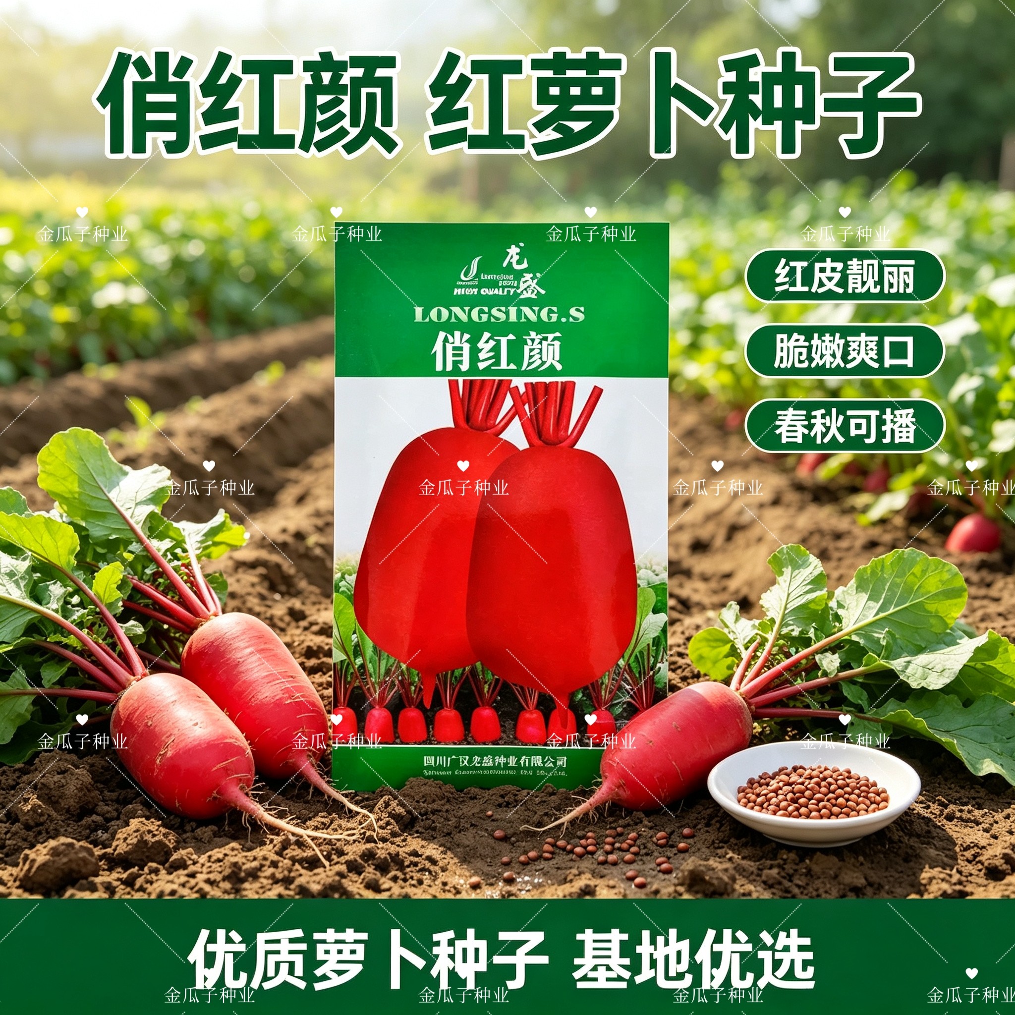 俏红颜红萝卜种子四川红皮萝卜表皮鲜红肉质细嫩农家大田秋季播种