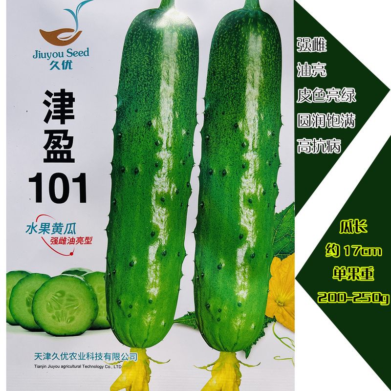 津盈101亮条黄瓜种子优质春秋棚种植强雌油亮抗病耐热黄瓜种