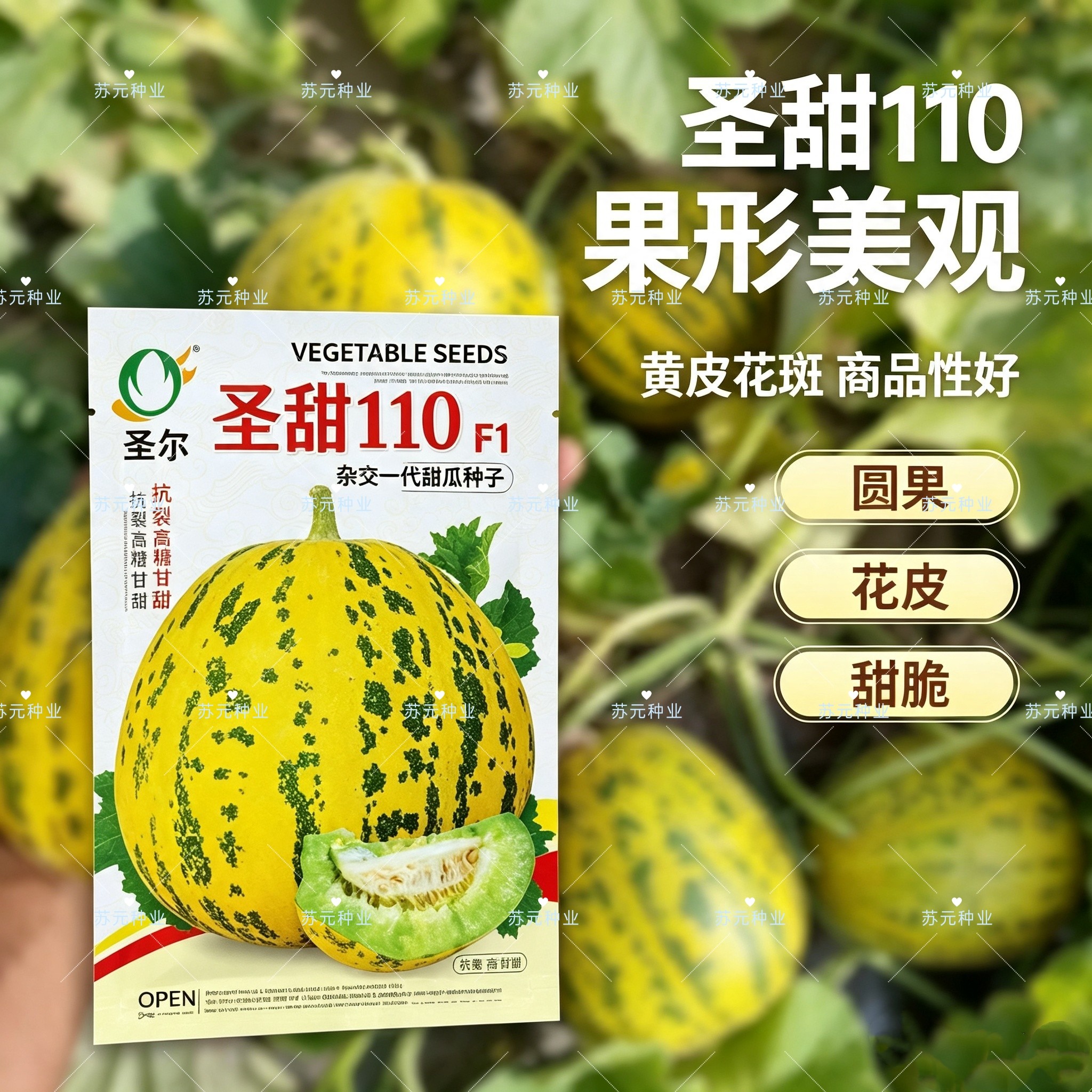 圣甜110甜瓜种子超甜薄皮酥香脆爽多汁八里香四季播盆栽水果种籽