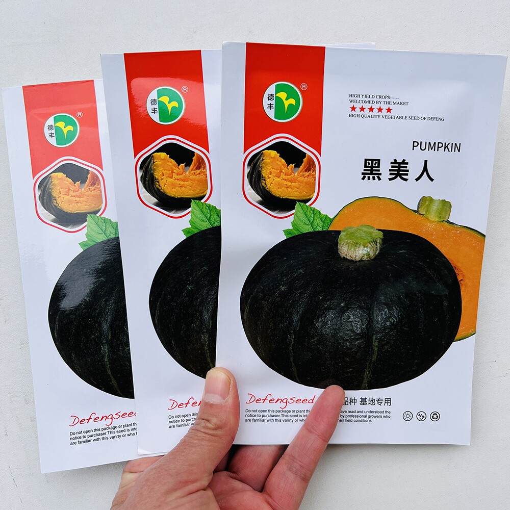德丰黑美人南瓜种子早熟高产肉质粉甜优质板栗南瓜种籽孑春秋播种