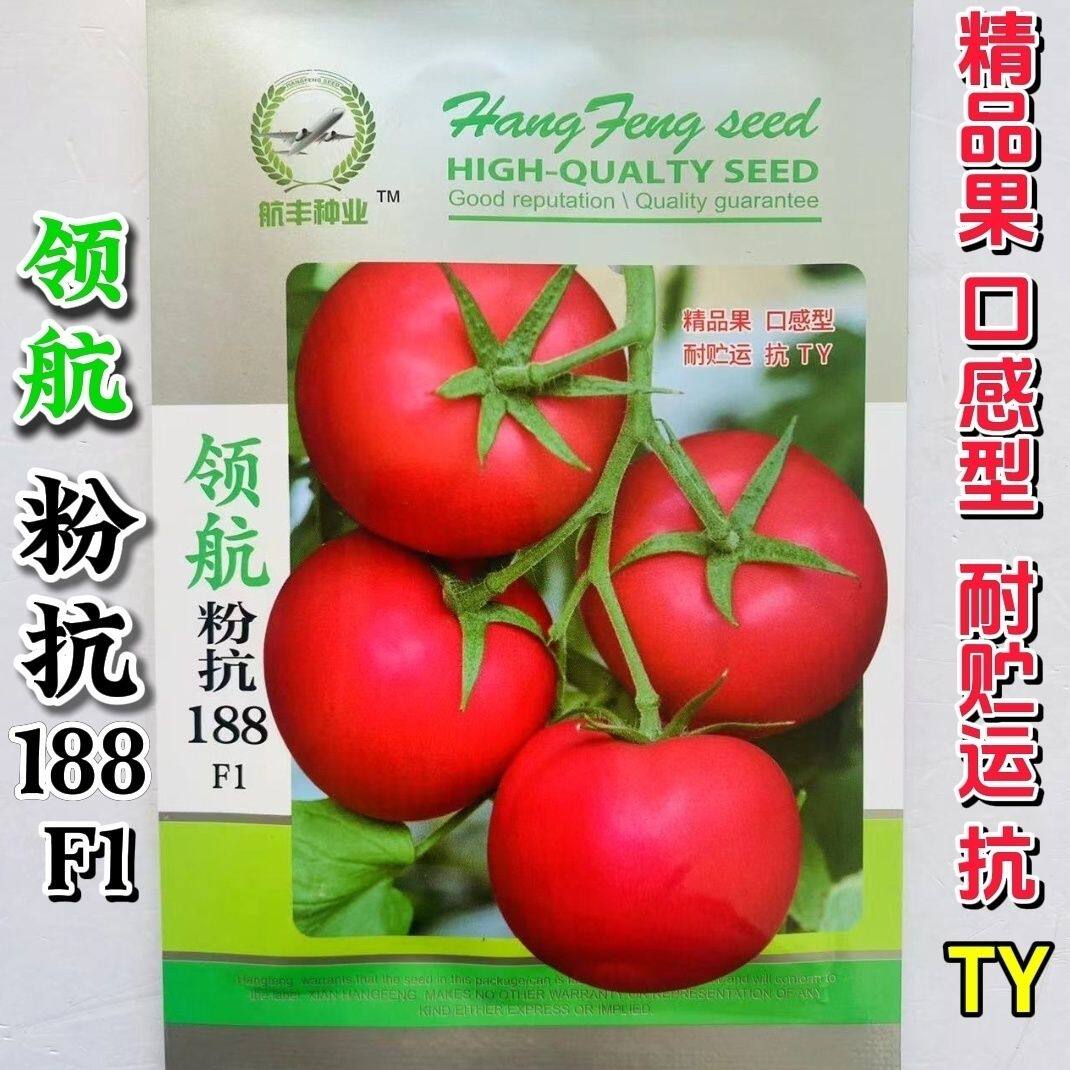 航丰领航抗粉188番茄西红柿种子沙瓤粉红大果农家田园西红柿种子