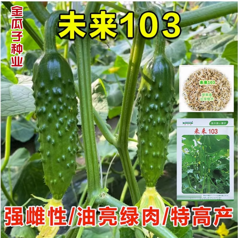 未来103强雌旱黄瓜种籽孑108水果旱黄瓜油亮大刺口感青瓜黄瓜种子