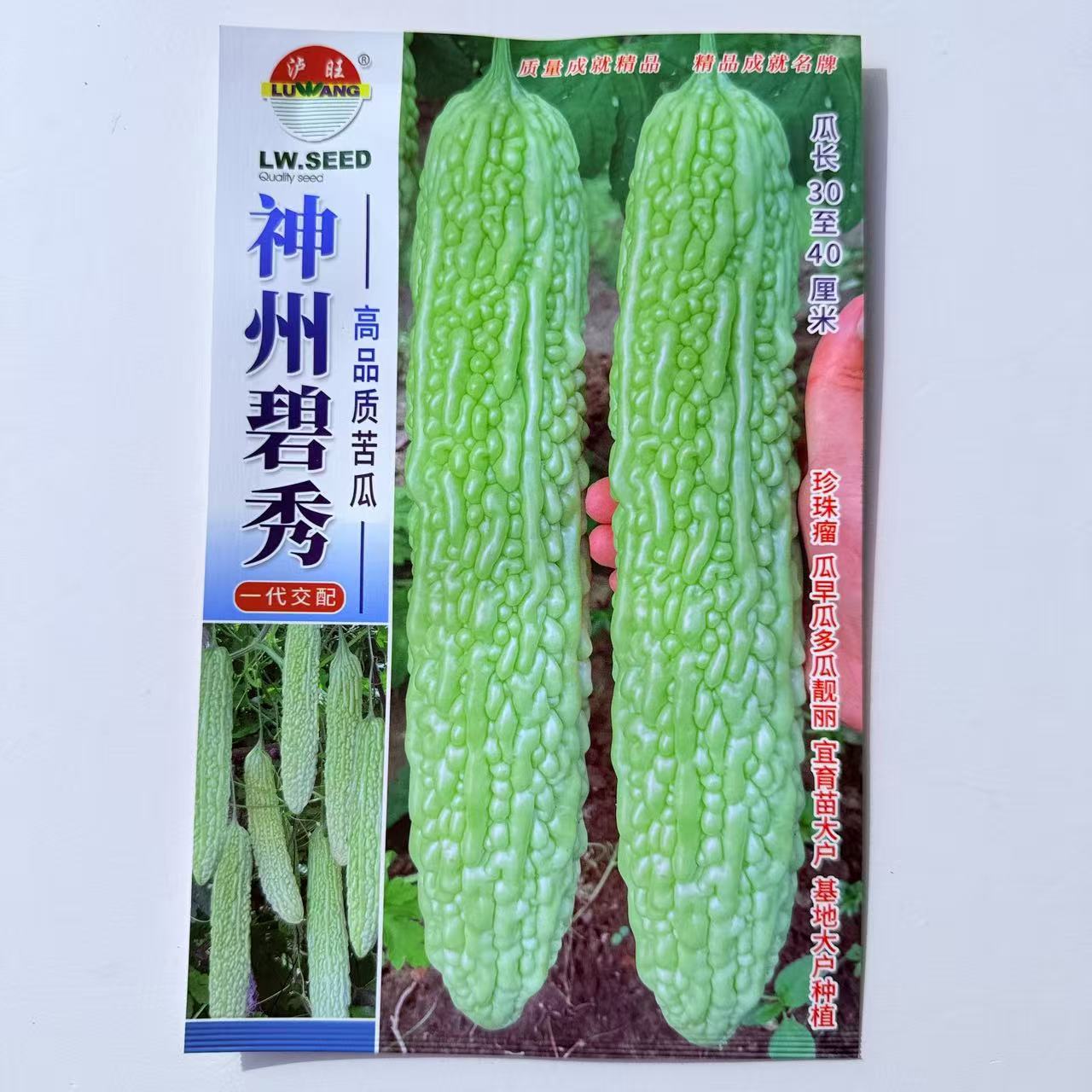 特长香丝瓜种子早熟抗病微皱耐热