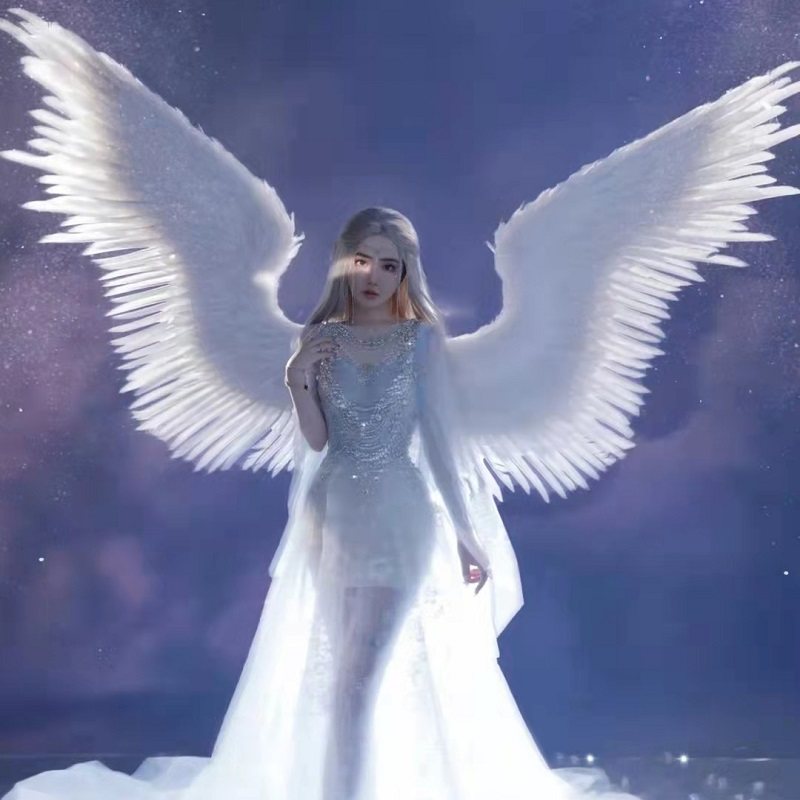 海马体超大成人白色羽毛天使翅膀装饰影楼拍照道具写真背饰拍摄
