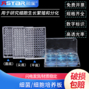 384孔TC处理贴壁细胞培养板 单个价 环氧乙烷灭菌 细菌培养板 一次性塑料培养板6 免费开票