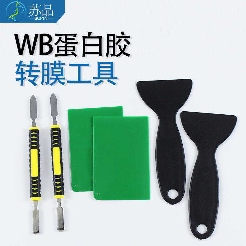国产伯乐WB电泳启胶器 撬板器 撬胶板 开板器 WB转膜工具配件 western blot转膜工具