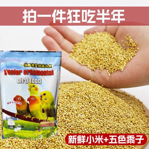 鹦鹉鸟粮谷子牡丹玄凤虎皮粮食