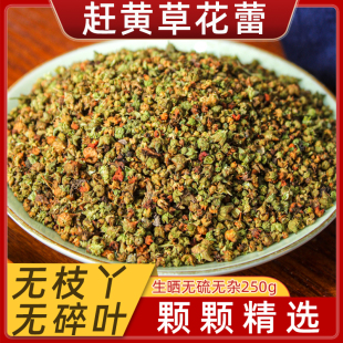 肝茶野生250g 四川古蔺赶黄草花蕾中药材新货益肝茶脂肪转氨酶正品