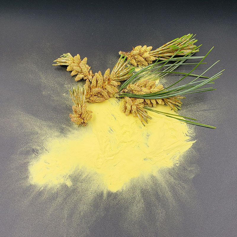 长白山天然松花粉 野生马尾松花粉 野生松花粉原粉150g/瓶包邮