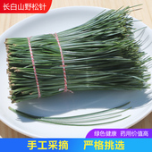 长白山野生松针 新鲜松针叶五针红松针可制作松针酵素泡松针酒1斤