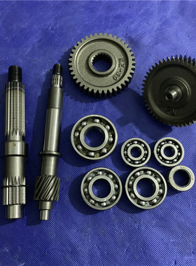 适用雅马哈福喜巧格福逸丽鹰凌鹰RSZ100尾牙齿齿轮箱套齿后轴轴承