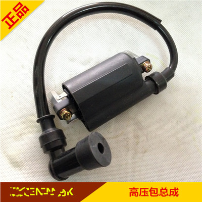 适用摩托车配件EN125-3F-3E高压包 EN125-2AFE点火线圈高压包组合