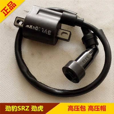 适用雅马哈摩托车 劲豹SRZ150 劲虎JYM150 劲龙JYM250高压包正品