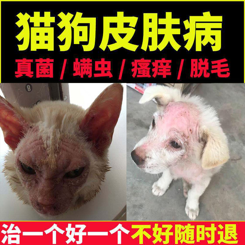 猫癣皮肤病喷剂狗狗真菌螨虫瑞鸾