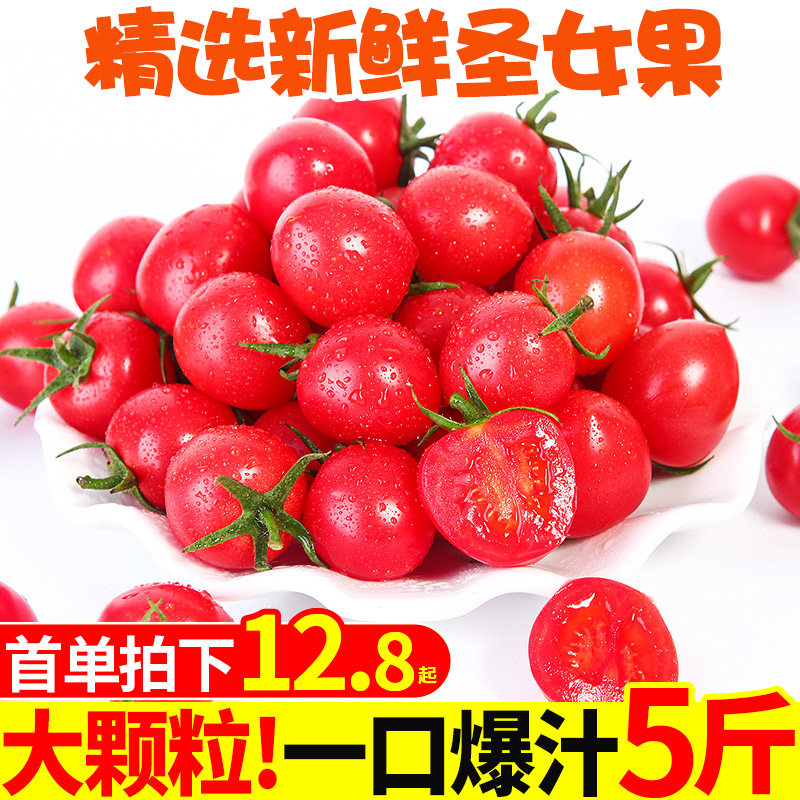 圣女果千禧小番茄5斤新鲜水果包邮当季西红柿应季时令整箱蔬菜批