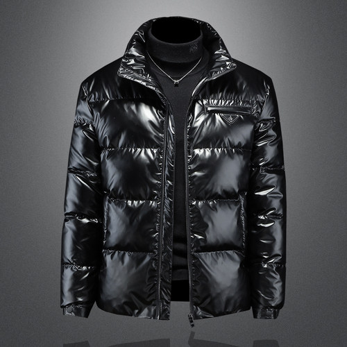 亮面男士羽绒服立领青年简约帅气个性冬季新款韩版高端外套秀禾服