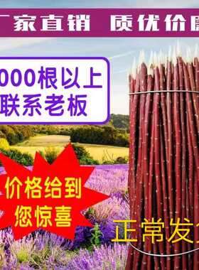 测试推荐新疆红柳枝烤肉签子