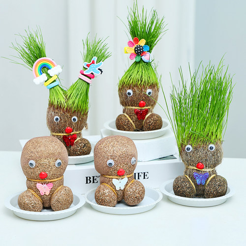 创意草头娃娃可爱小盆栽四季头上长草小植物迷你绿植盆栽趣味