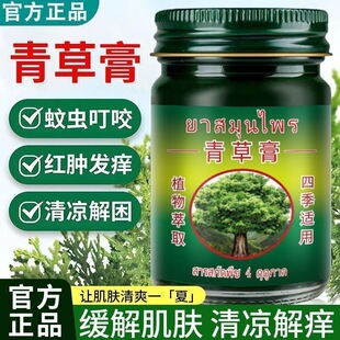青草膏正品夏季清爽蚊虫叮咬红肿发痒清凉解困四季用户外家用50g