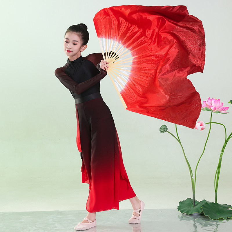 儿童古典舞演出服飘逸纱衣中国风扇子舞伞舞溯跃表演服身韵练功服