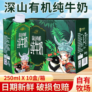 遵义有机纯牛奶营养早餐精选牛乳贵州遵义德江牧场学生健康新鲜奶