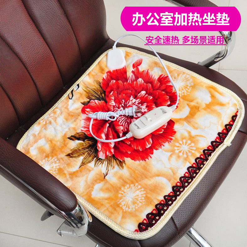 加热坐垫办公室座椅垫小电热毯坐垫插电式暖垫电热坐垫宠物加热垫,生活电器,电热毯/电热垫/电热地毯,淘宝优惠券,粉丝福利购,淘宝优惠卷