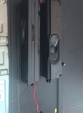 小米喇叭L55M7-EA 原装拆机件非全新 42-WDF524-X03LI06 6Ω12W