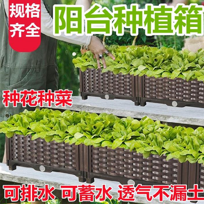 阳台种菜长方形蔬菜种植箱长条形塑料箱盆栽高23橱窗加宽加固楼上
