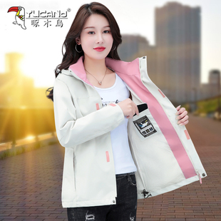 啄木鸟冲锋衣外套女三合一秋冬新款今年流行爬山户外登山服上衣潮