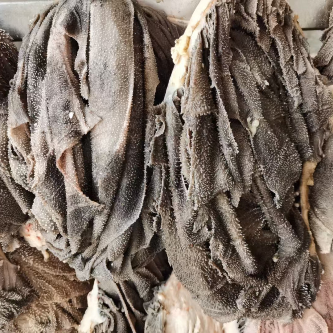 清真牛百叶牛毛肚牛板叶牛肚新鲜零添加生鲜冰鲜发货按斤包邮顺丰