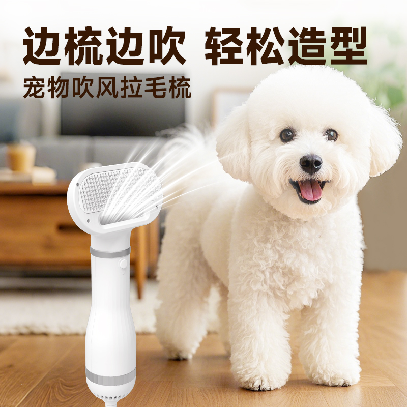 来旺兄弟宠物四驱吹水机