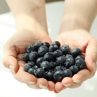 场景装 仿真蓝莓粒 饰用品 布置 橱窗软装 假水果模型 美食摄影道具