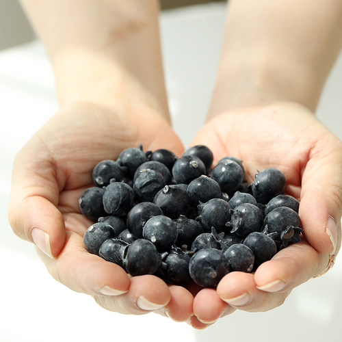 仿真蓝莓粒假水果模型软装布置