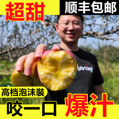 山西运城冰糖心苹果临猗红富士