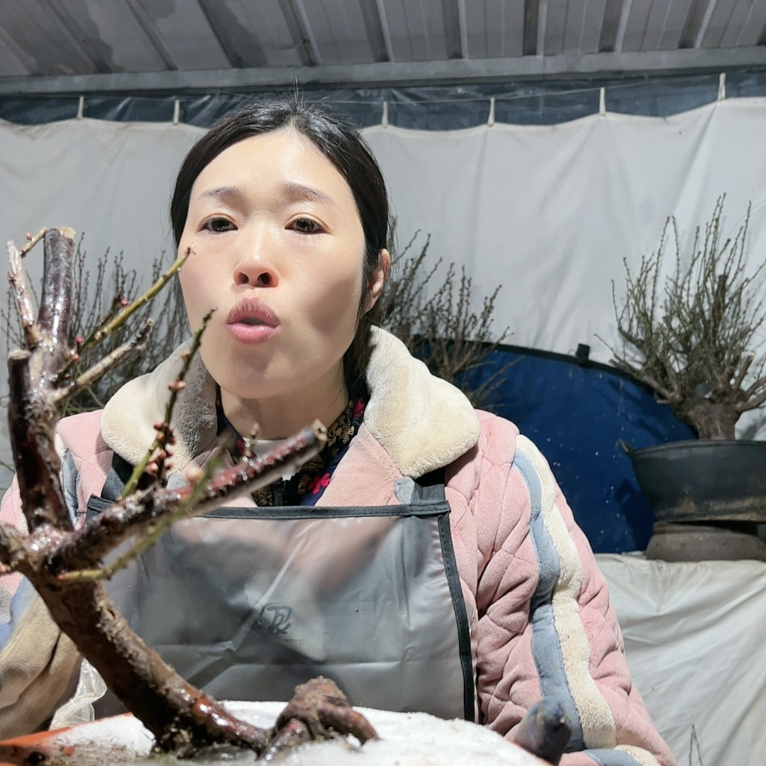 87,鲜花速递/花卉仿真/绿植园艺,时令草本花卉,淘宝优惠券,粉丝福利购,淘宝优惠卷