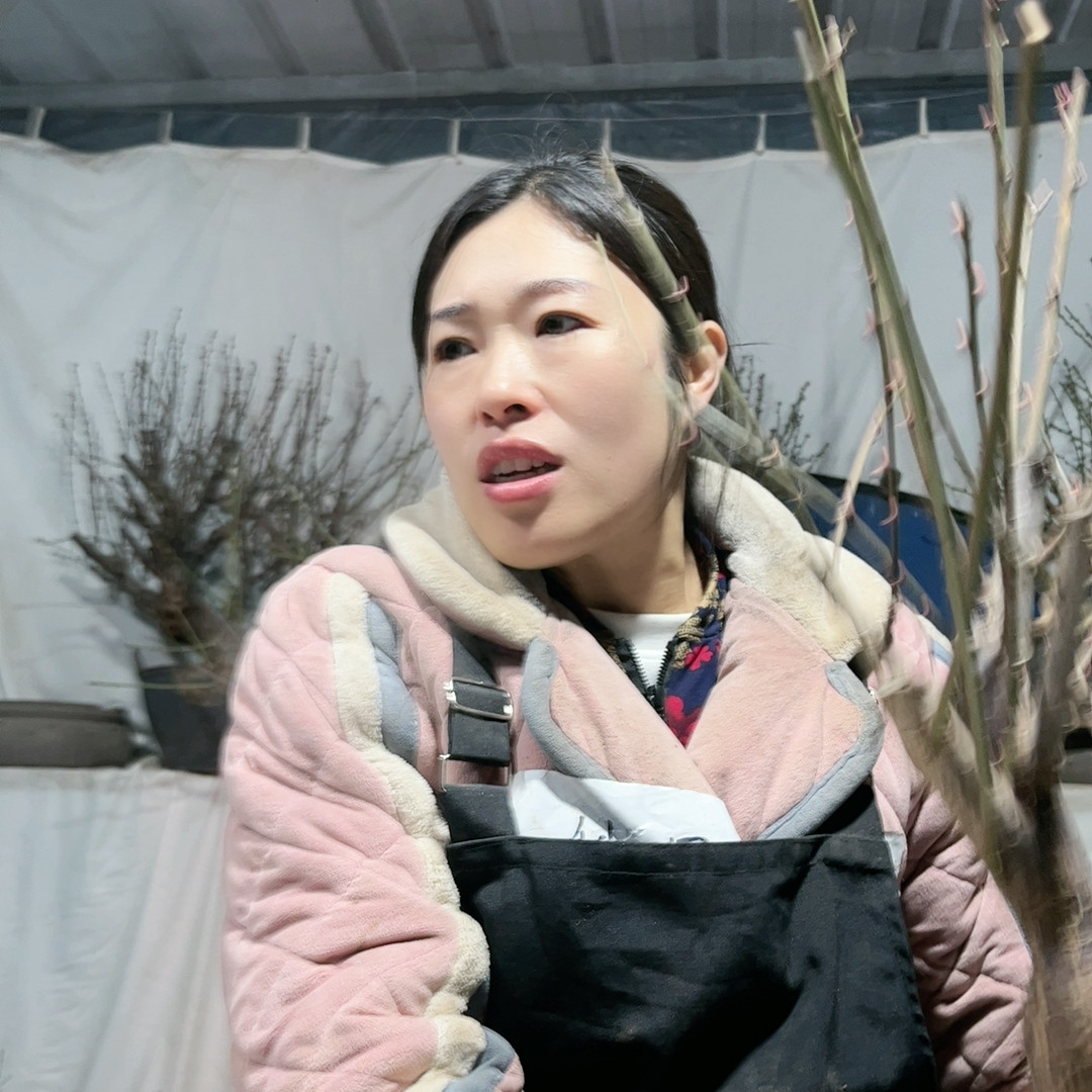 67,鲜花速递/花卉仿真/绿植园艺,时令草本花卉,淘宝优惠券,粉丝福利购,淘宝优惠卷