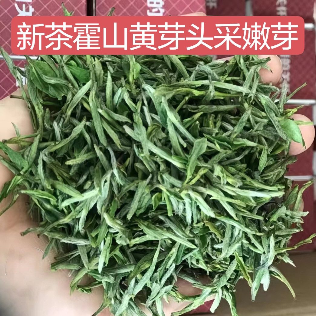 2026新茶特级头采嫩芽安徽霍山大化坪黄芽正宗黄茶霍山黄芽浓香型