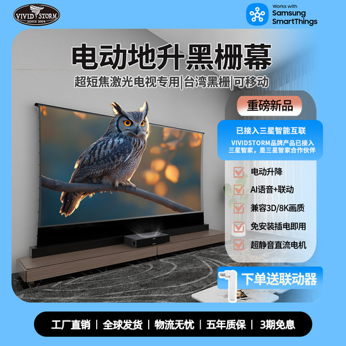 vividstorm台湾黑栅电动地升幕布