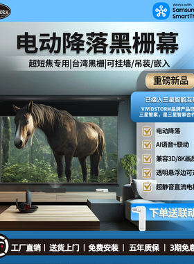 VIVIDSTORM电动升降黑栅抗光幕 天花降落幕 激光电视投影幕布 超短焦投影仪透声幕 家庭影院吊顶明装壁挂幕布