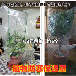 植物保温罩防冻摸花卉多肉树木室外防寒冬季透明袋绿植盆栽保护套