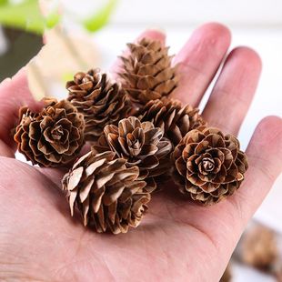 天然小松花迷你落叶松小松果圣诞装饰藤圈花环手工DIY环创材料