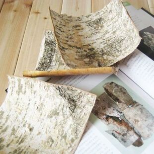 天然白桦树皮工艺品装饰风干工艺拍摄道具榆树皮包管道DIY材料