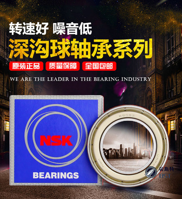 NSK进口轴承6200 6201 6202 6203 6204 6205 6206 6207 ZZ DDU/C3